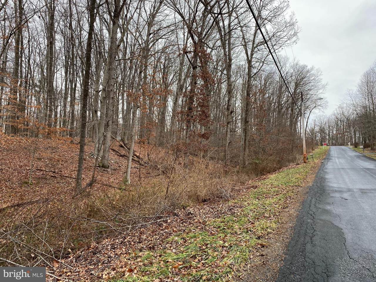 Cattail Road - Photo 1