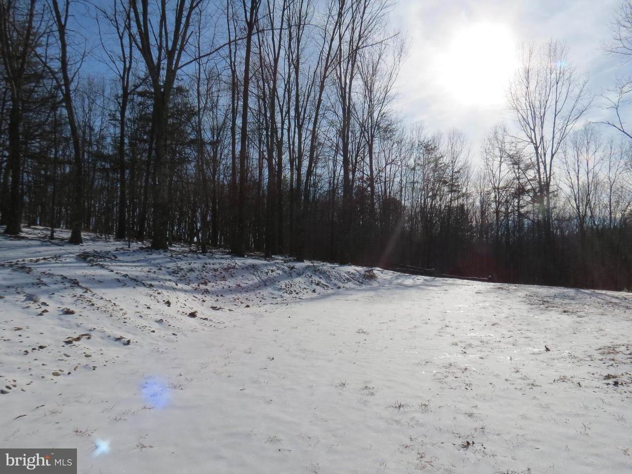 19 Canyon Creek - Photo 1