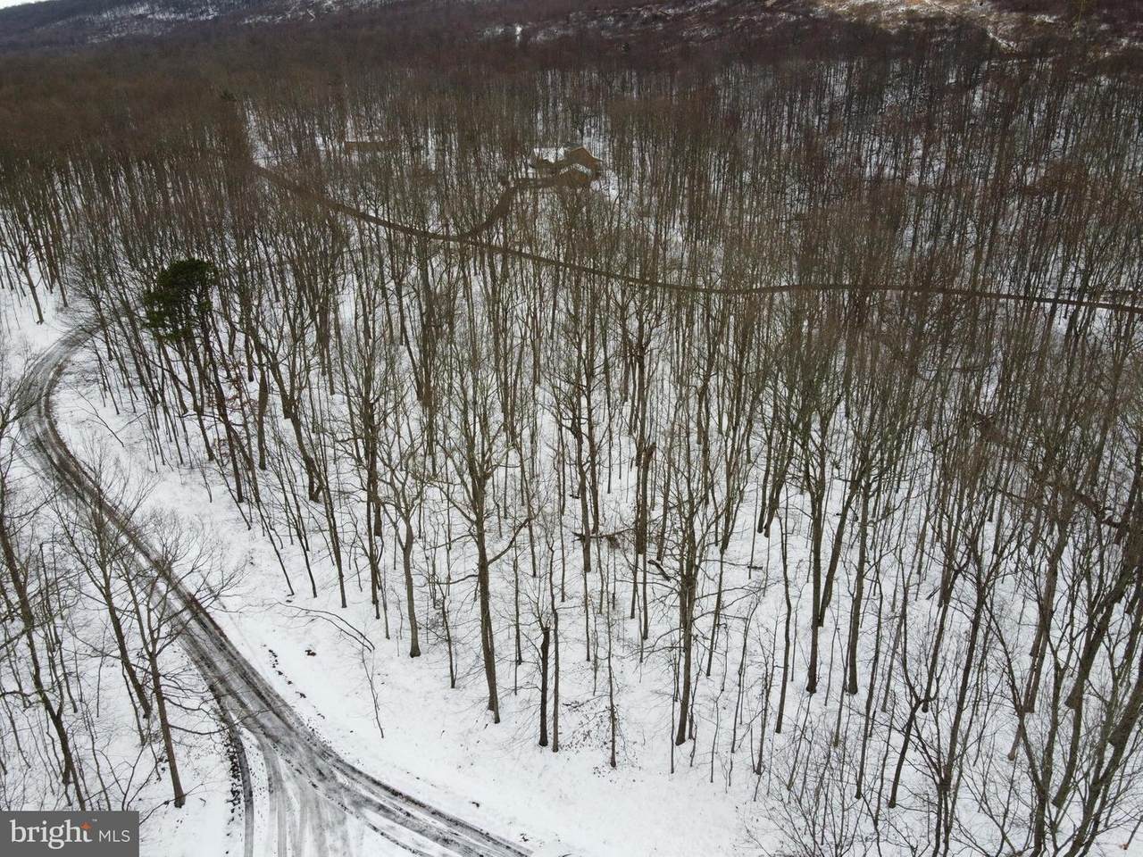 Lot 31 Mountain Laurel Drive - Photo 1