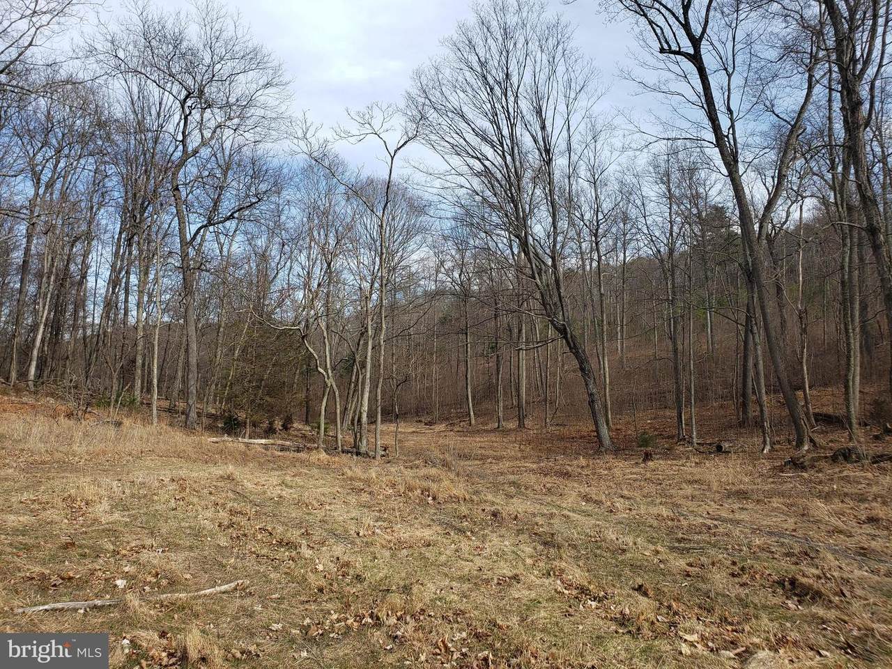 114-ACRES Baughman Settletment - Photo 1