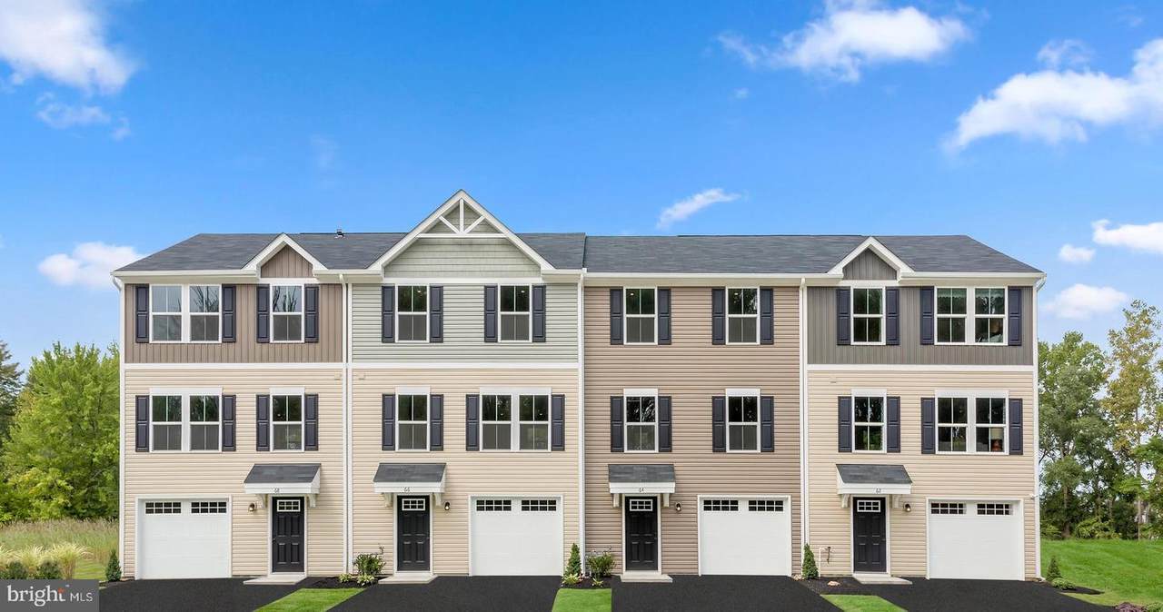 255 Chincoteague Lane - Photo 1