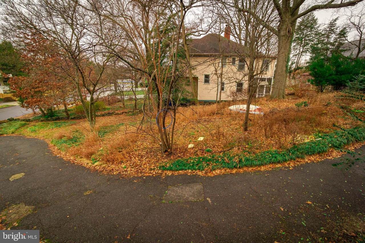 Cedar Street - Photo 1