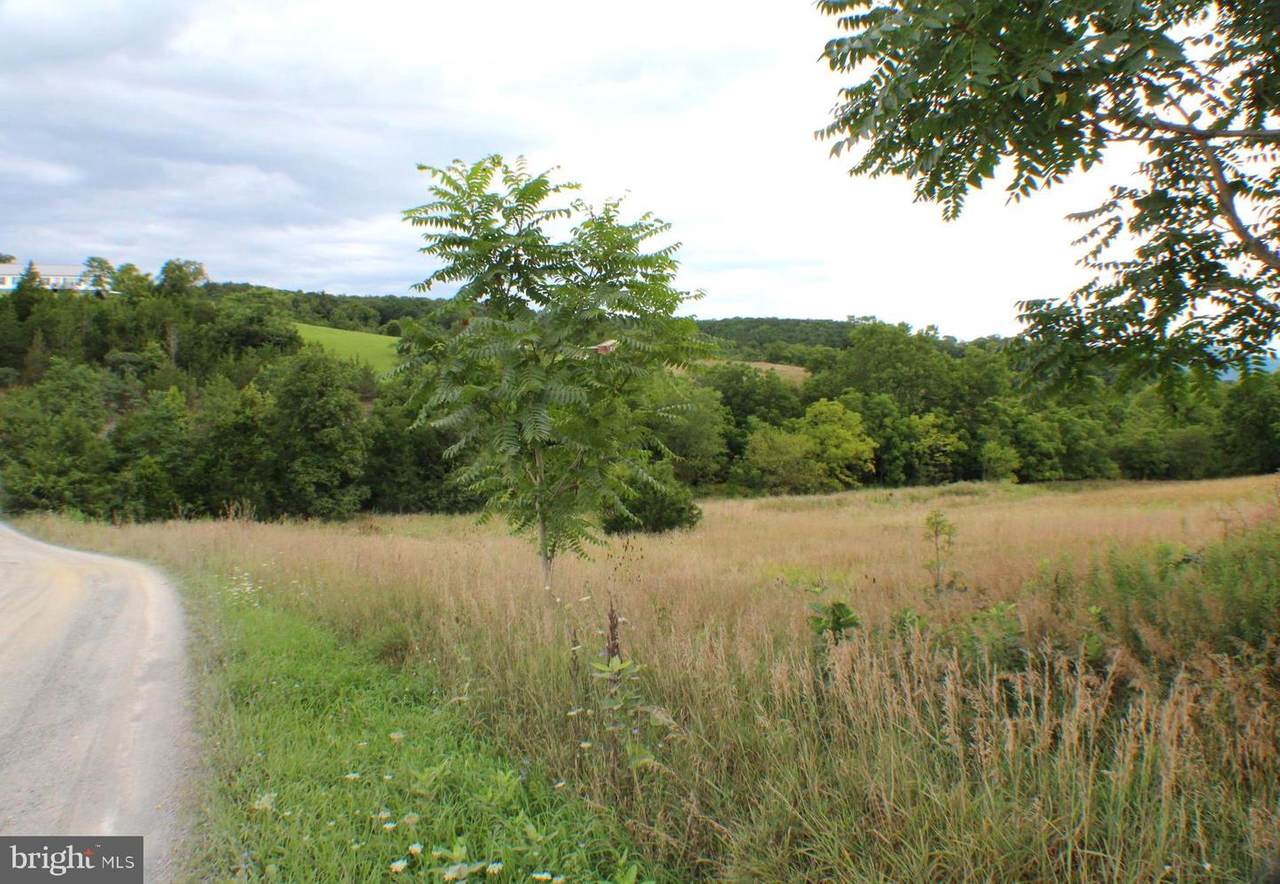 Lot 17 Dewey Drive - Photo 1