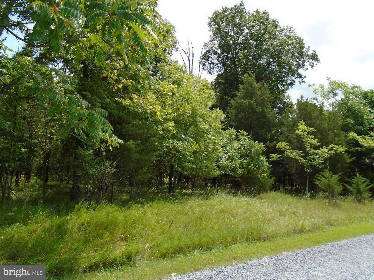 Lot 57 - Mandela Road - Photo 1