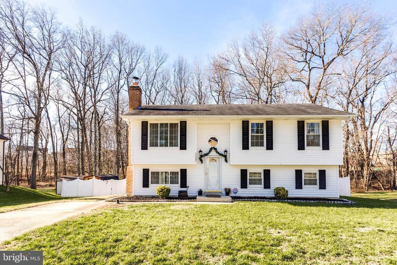 11507 Timberbrook Drive - Photo 1