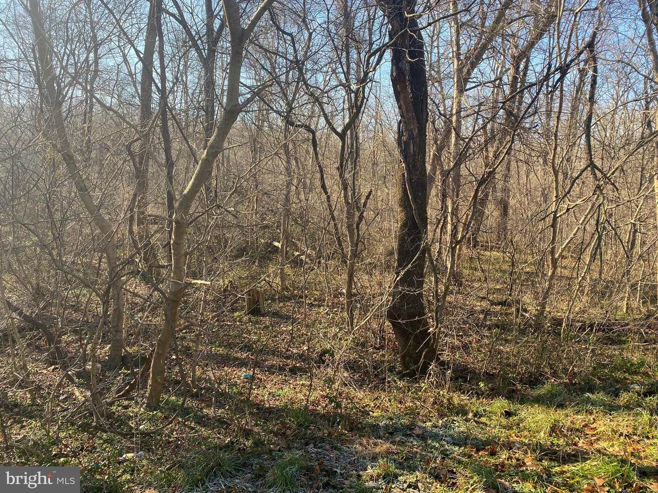 TBD Old Stanley Rd - Photo 1