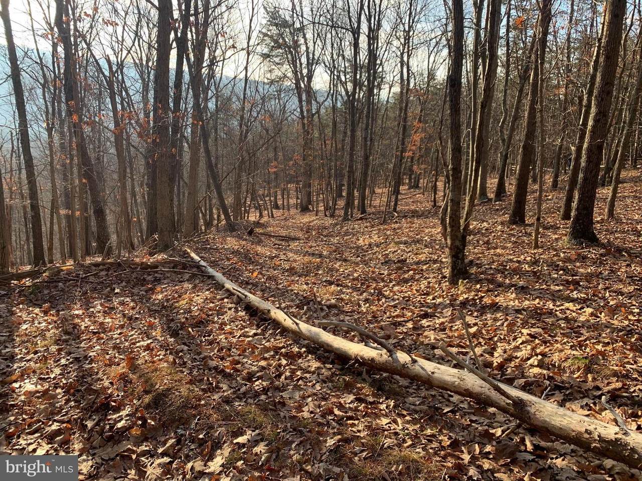 Dumpling Ridge Road - Photo 1