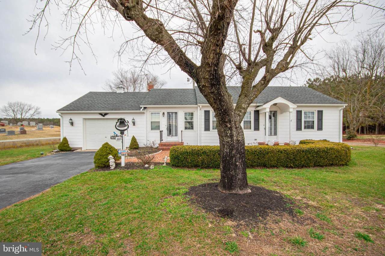 36554 Mount Pleasant Road - Photo 1