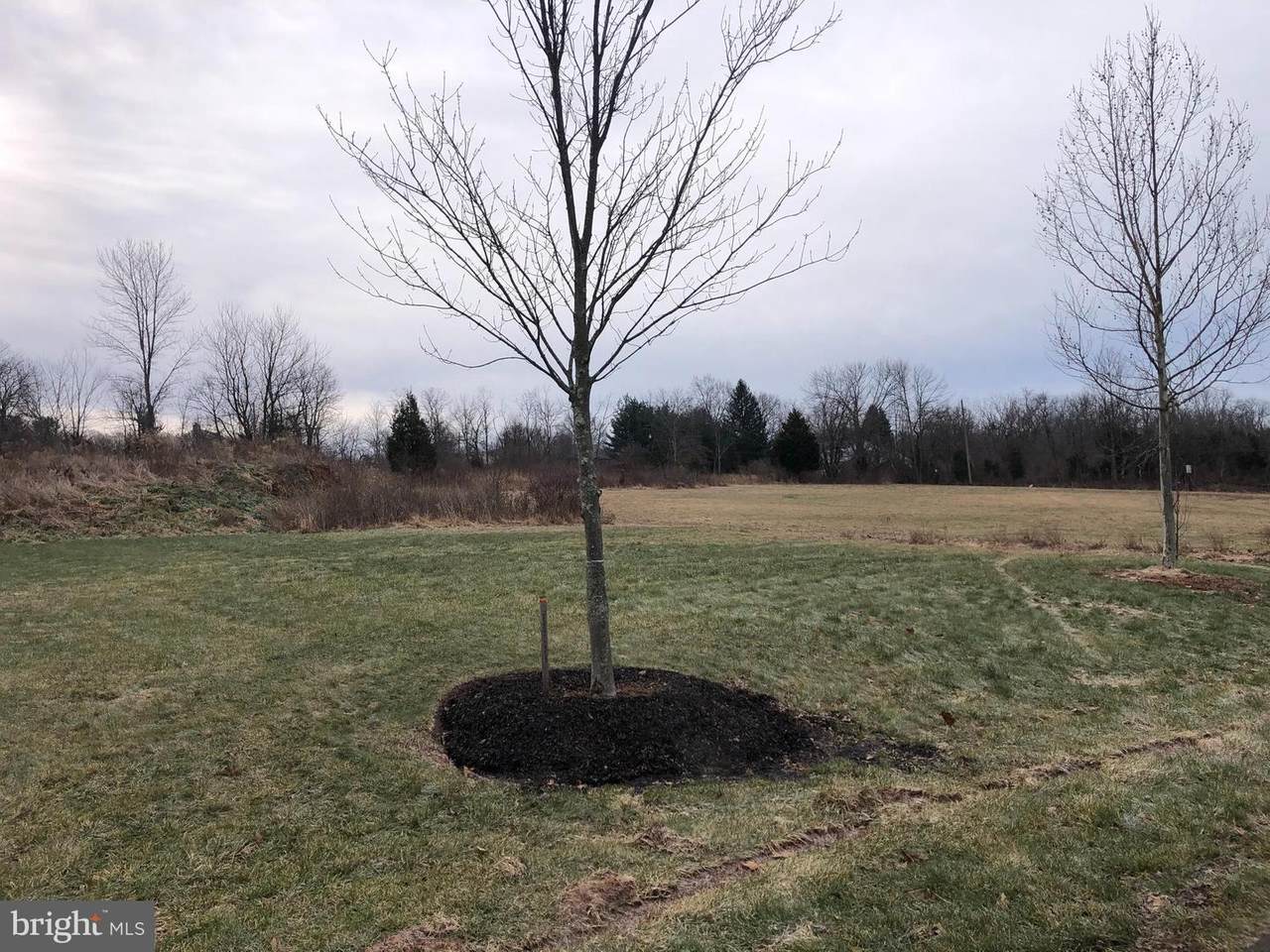 Lot 1 Schultz Road - Photo 1