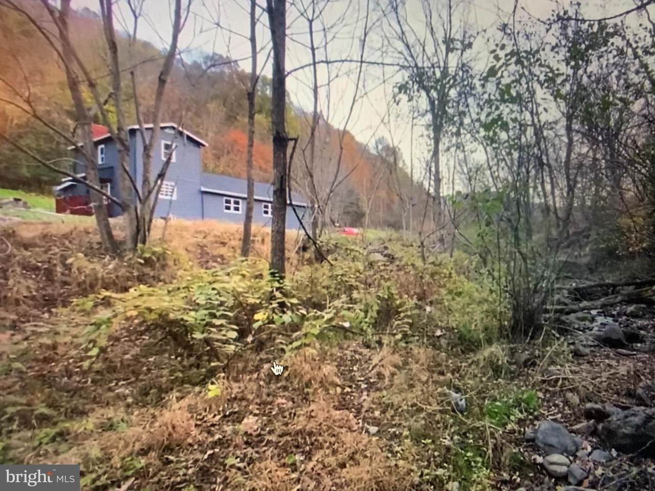 1167 Cubbage Hollow Road - Photo 1