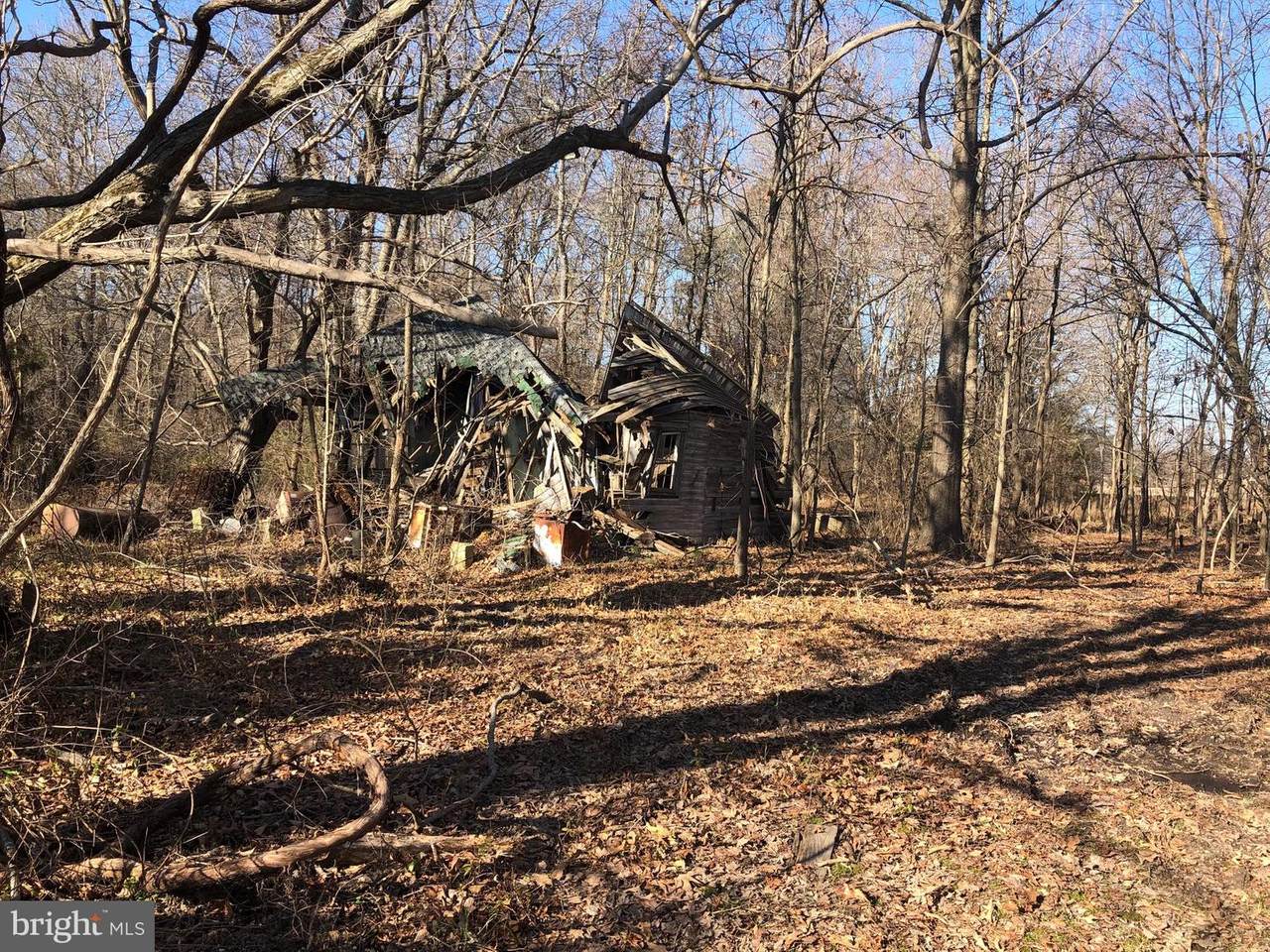 37780 Paul Ellis Road - Photo 1