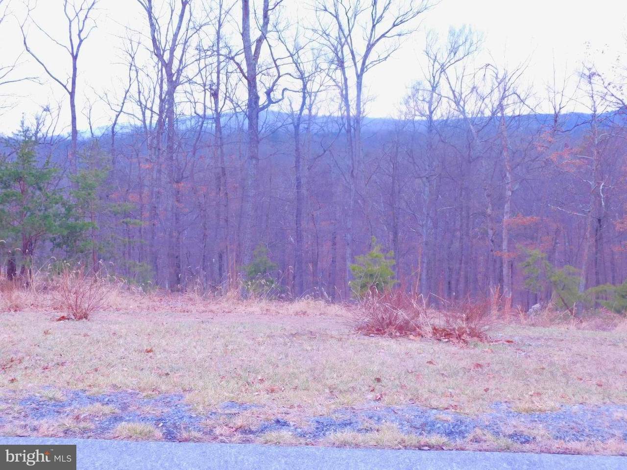 8 Nemacolin Trail - Photo 1