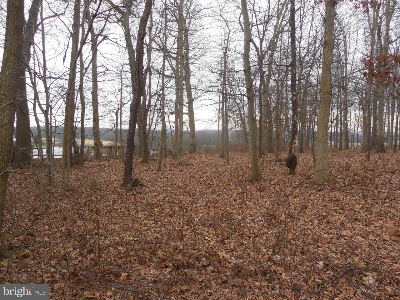 5008 Fawn Grove Road - Photo 1