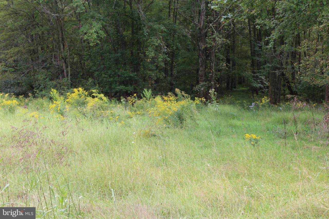 Summer Valley Road - Photo 1