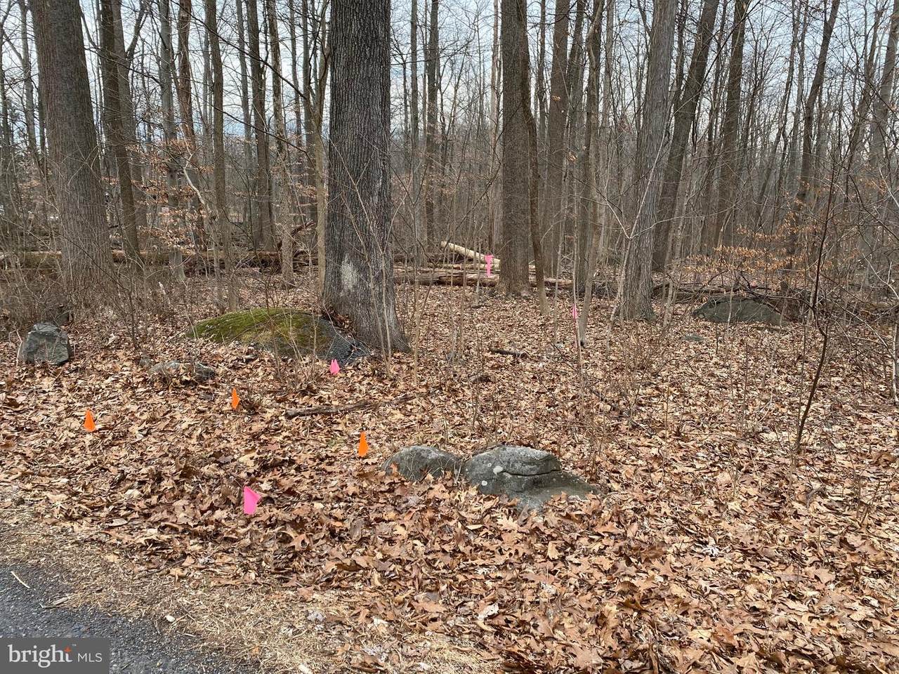 0 Hill Road - Photo 1