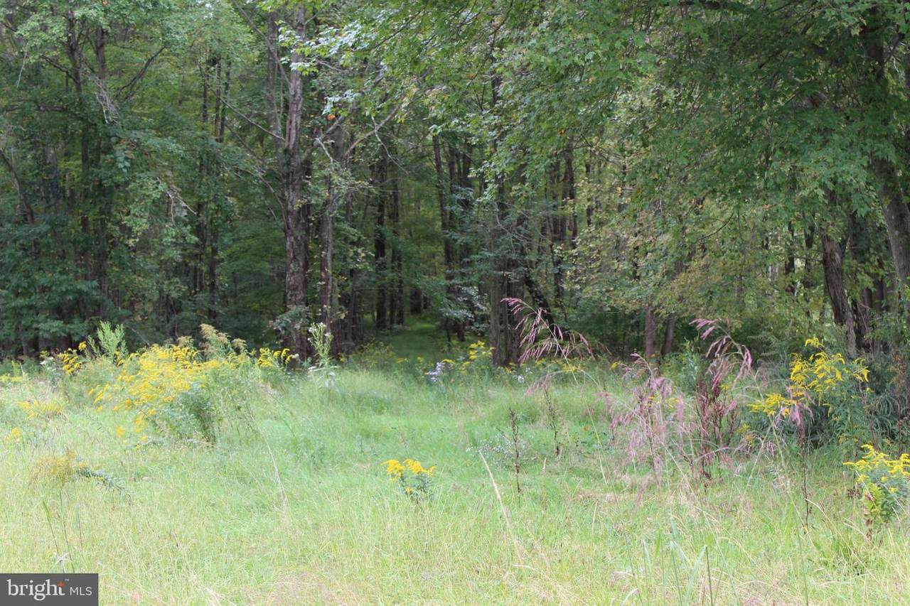 Summer Valley Road - Photo 1
