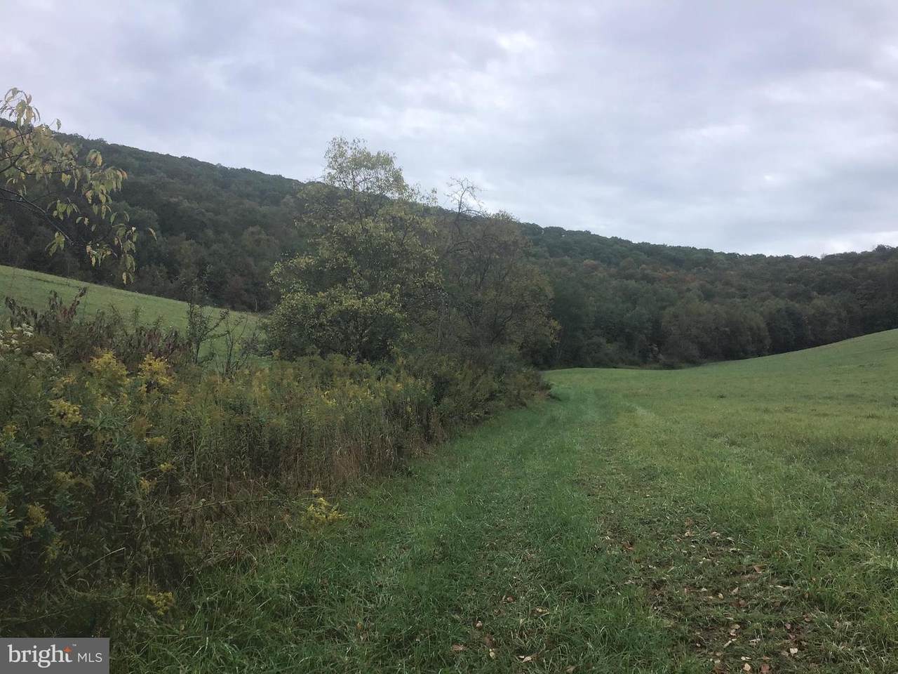 0 Canada Hollow Road - Photo 1