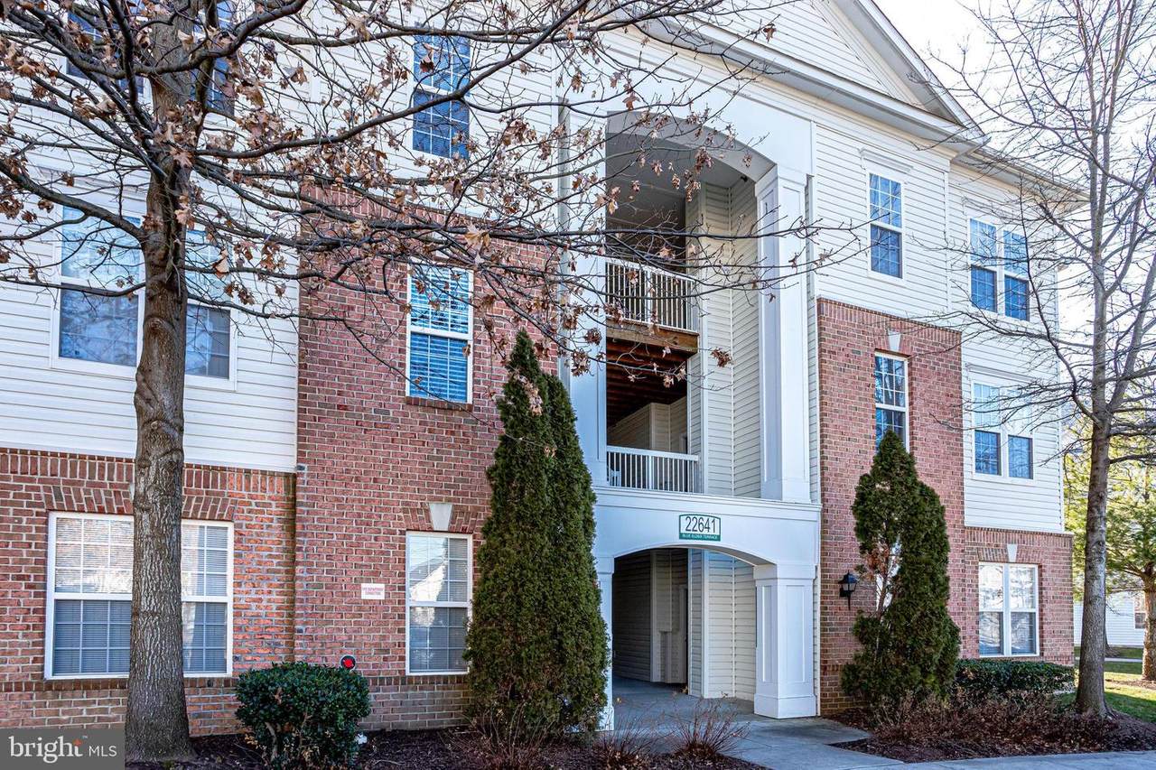 22641 Blue Elder Terrace - Photo 1