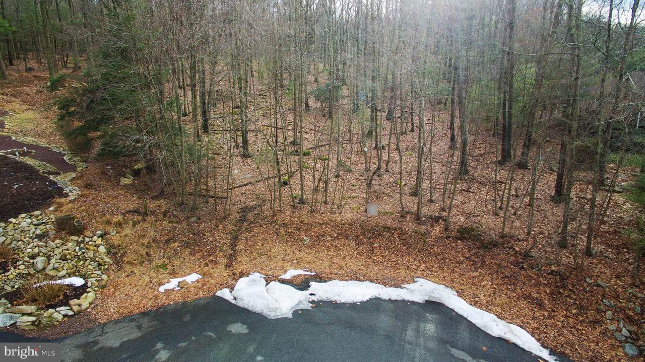 0 Whitetail Circle - Photo 1