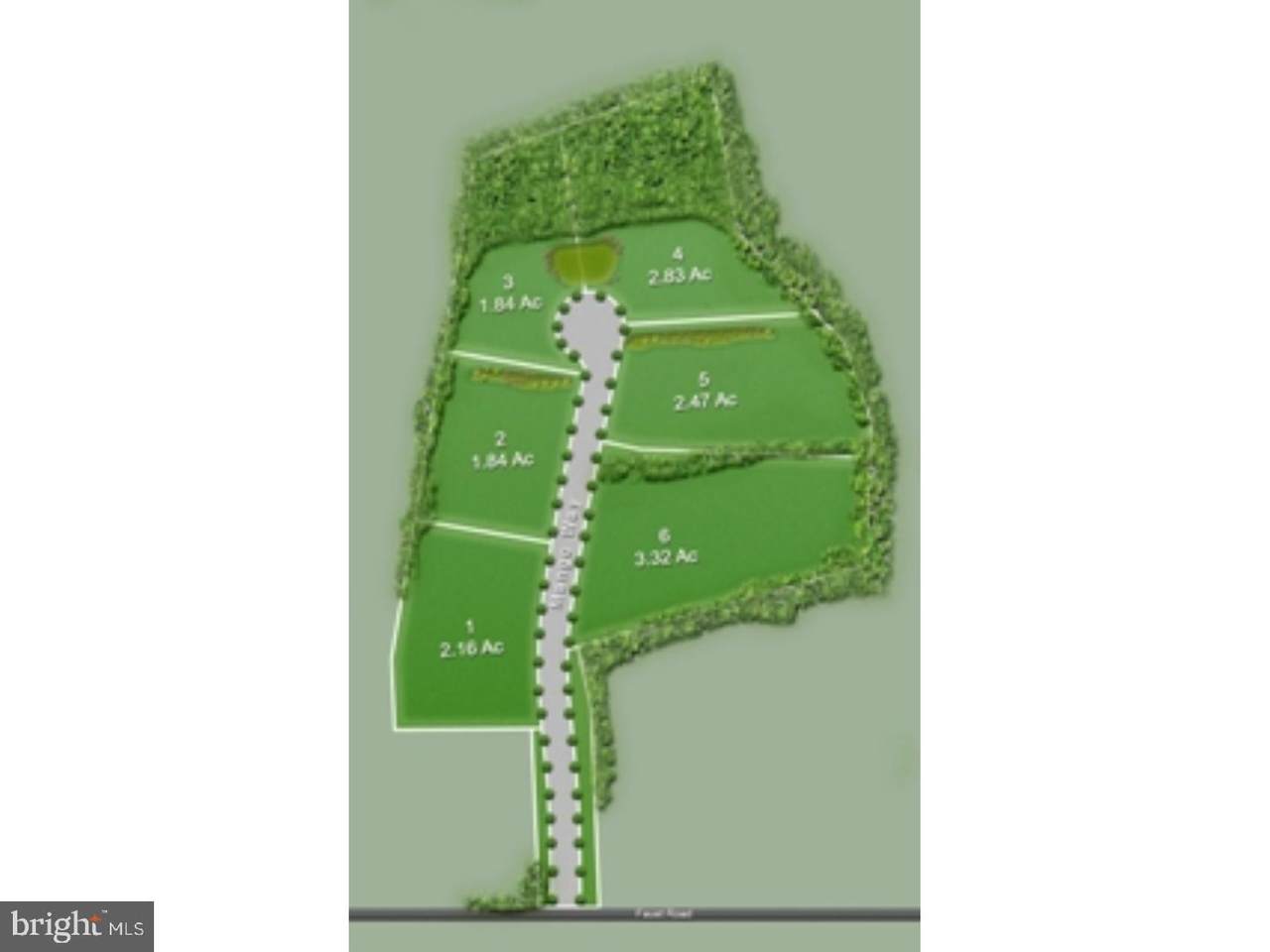 LOT 3 Mango Road - Photo 1