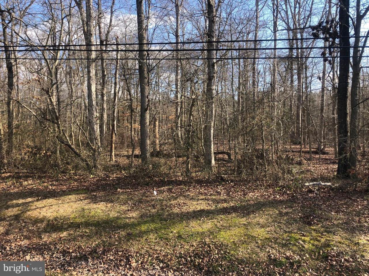 00 Mt Holly - Enm Road - Photo 1