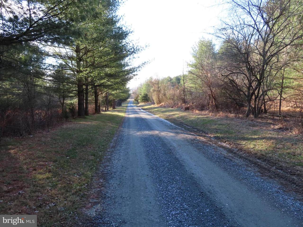 Quarter Branch Rd - Photo 1