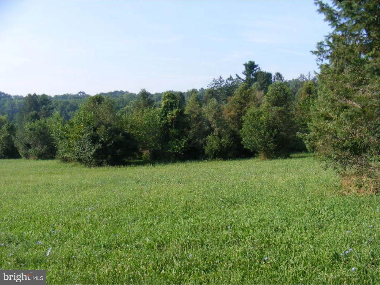 Lot 0 White Oak Lane - Photo 1