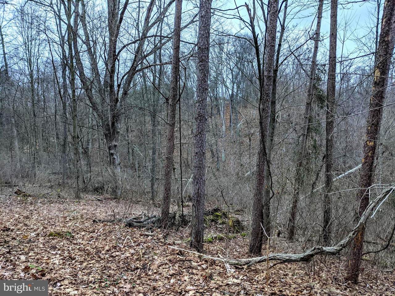 0 Campbell Drive - Photo 1