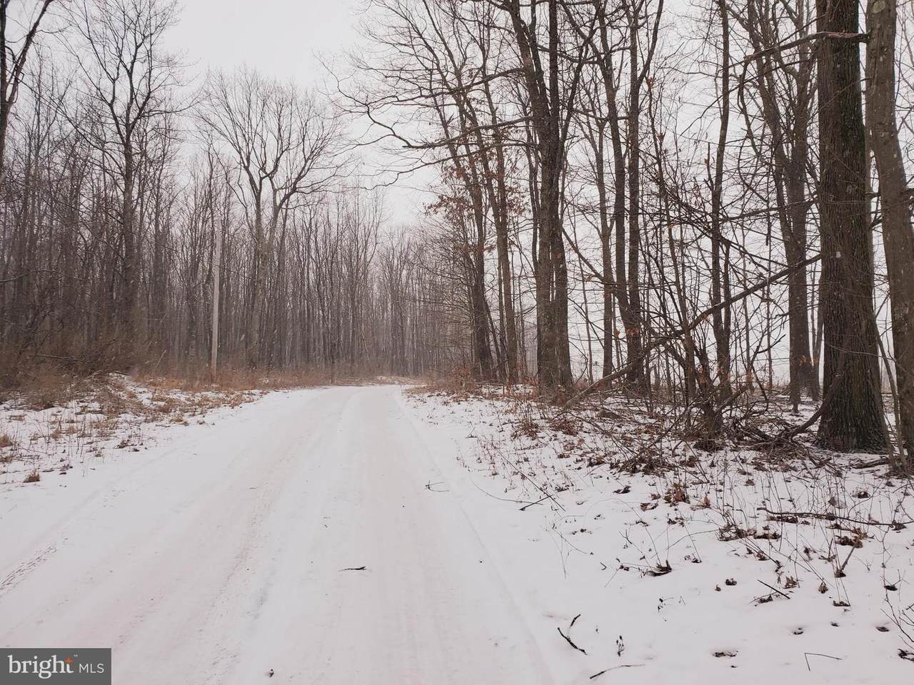 Piney Mt Road - Photo 1