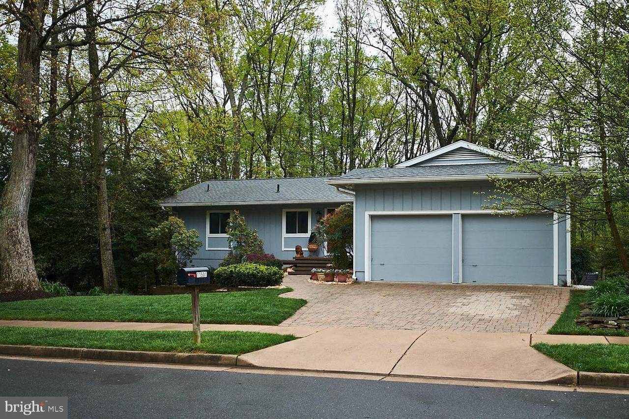11501 Purple Beech Drive - Photo 1