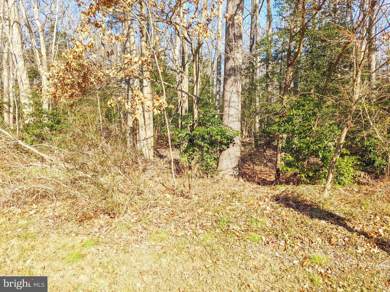 12 Aspenwood Drive - Photo 1