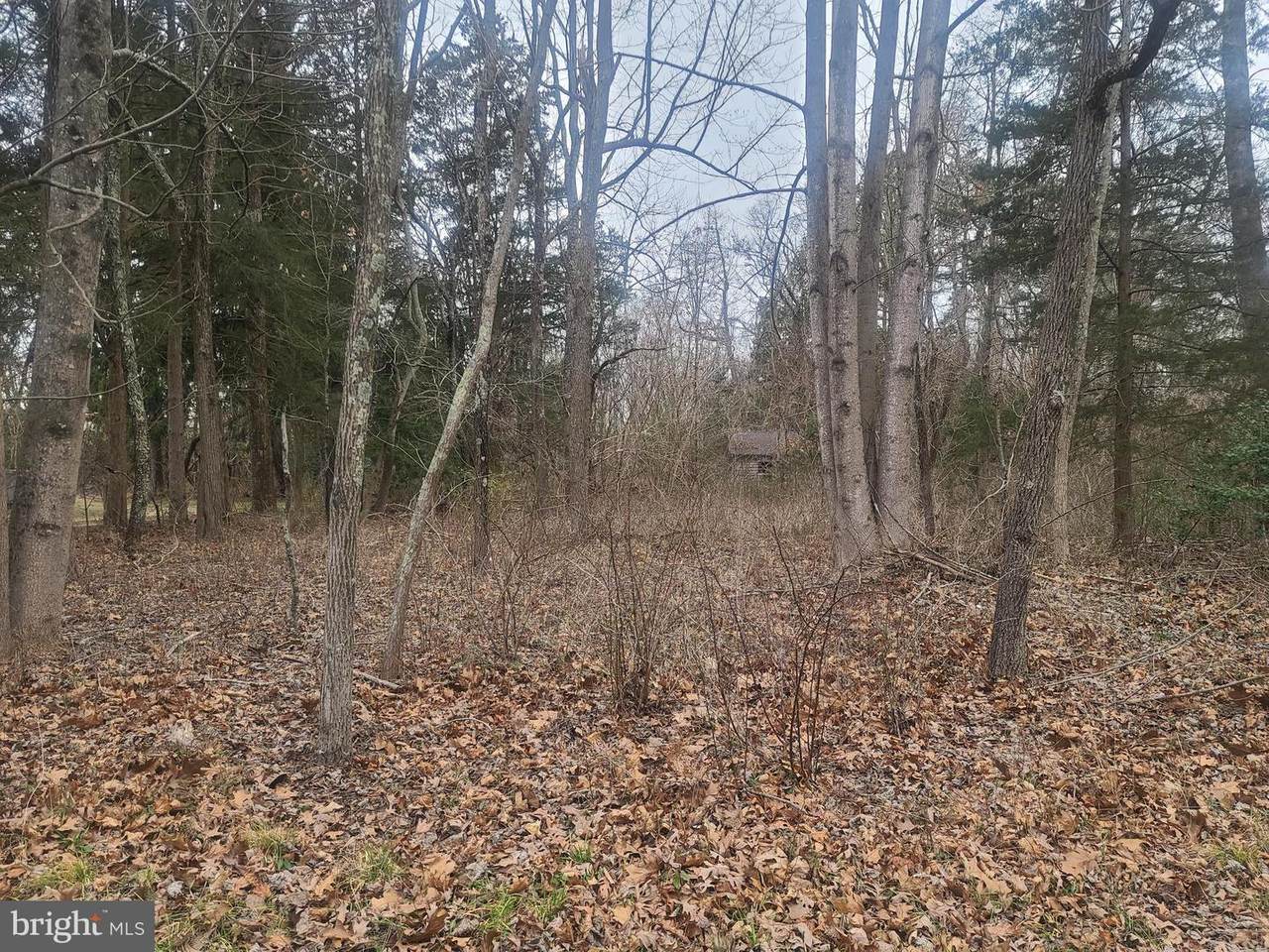 0 West Avenue - Photo 1