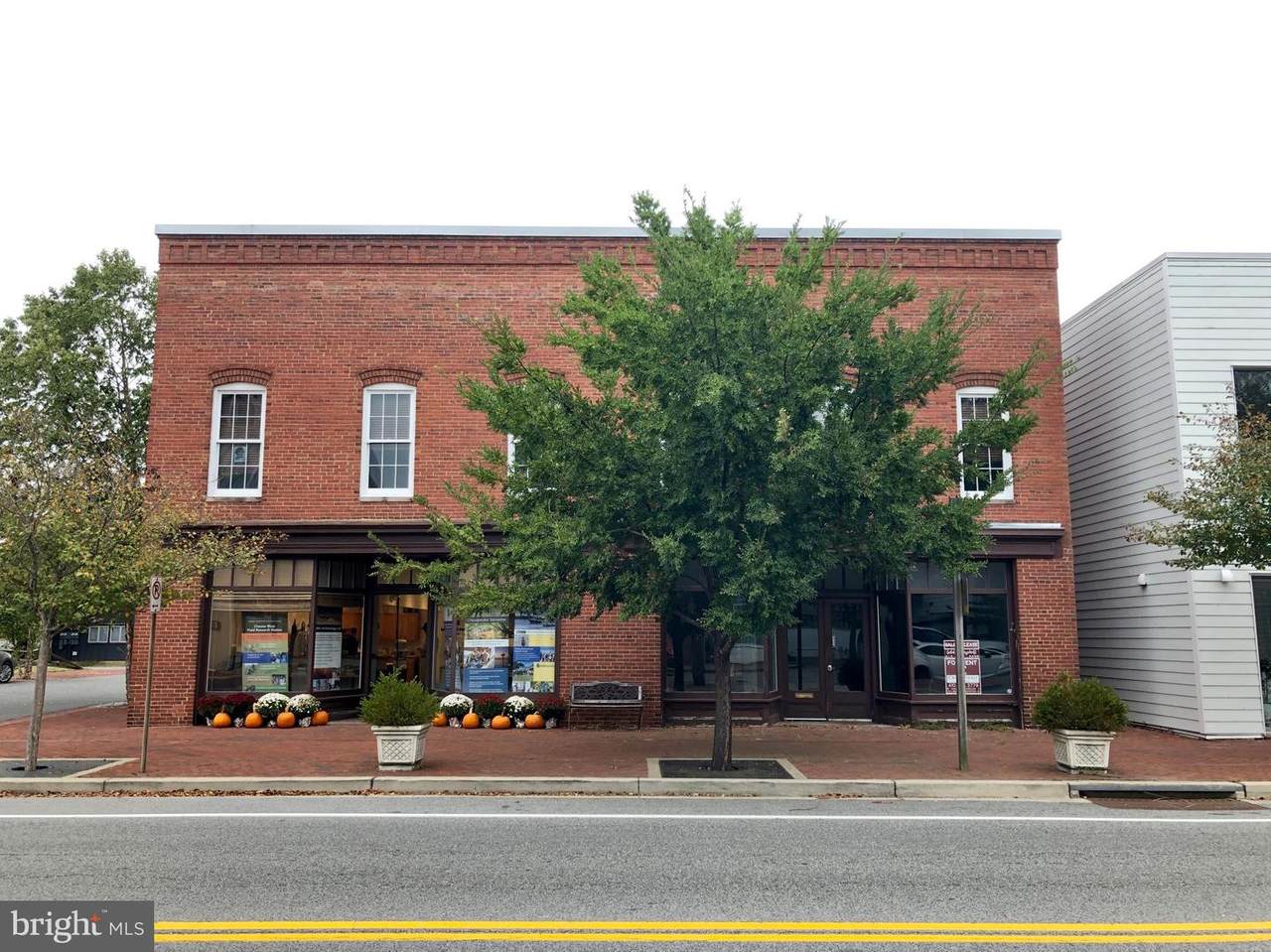 206 Cross Street - Photo 1