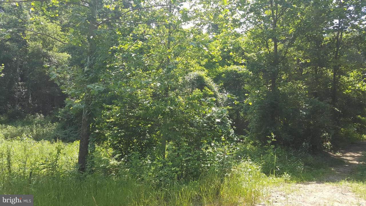 2001 Mellott Road - Photo 1