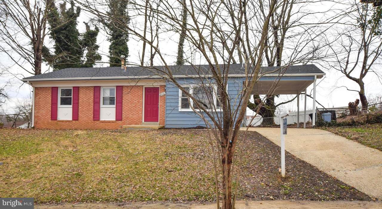 8111 Carey Branch Drive - Photo 1