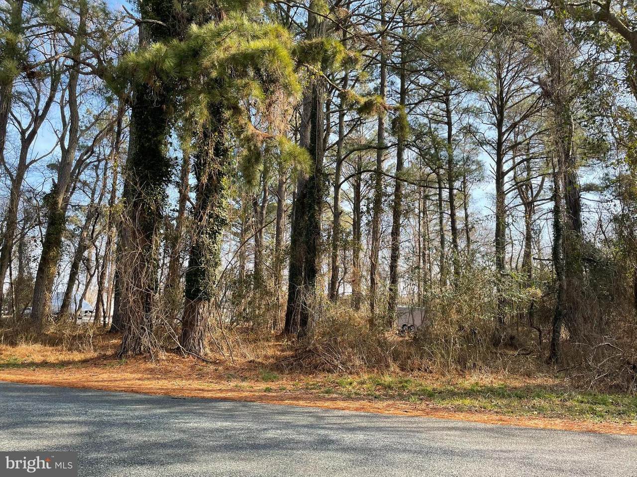 100 Roland Parks Road - Photo 1