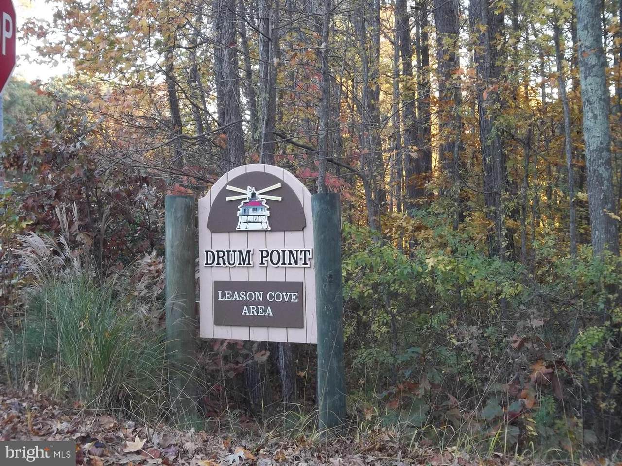 12954 Mills Creek Drive - Photo 1
