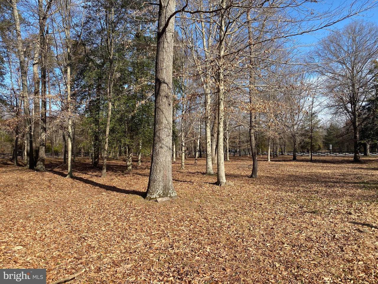 Parcel 74 Leonardtown Road - Photo 1
