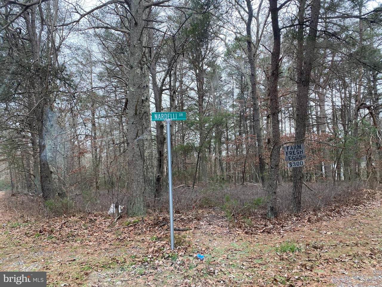 0 Nardelli Drive - Photo 1