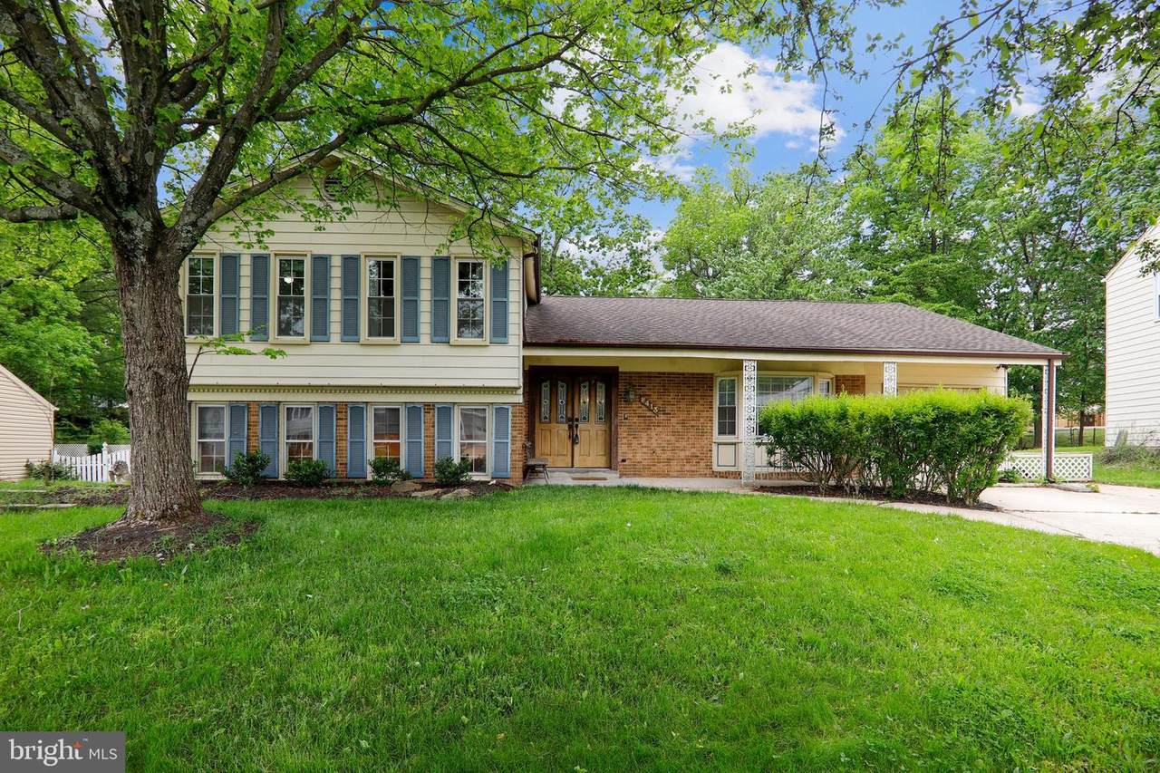 8413 Red Wing Lane - Photo 1