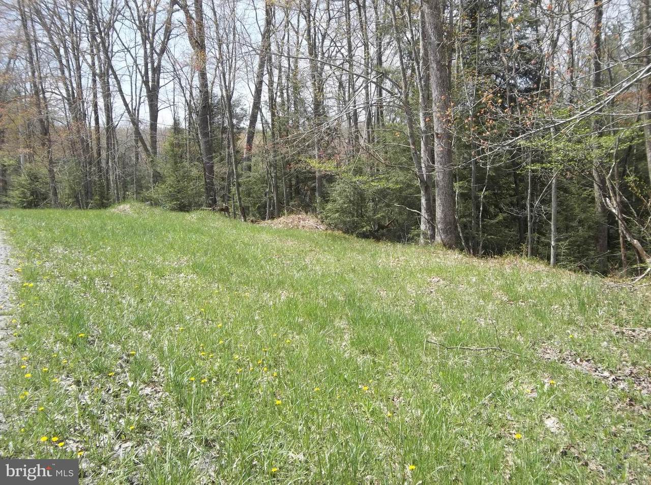 Lot 10 Yough View Drive - Photo 1