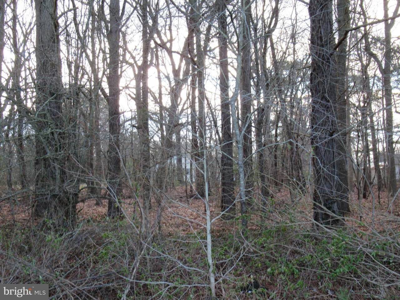 Island Creek Neck Road - Photo 1