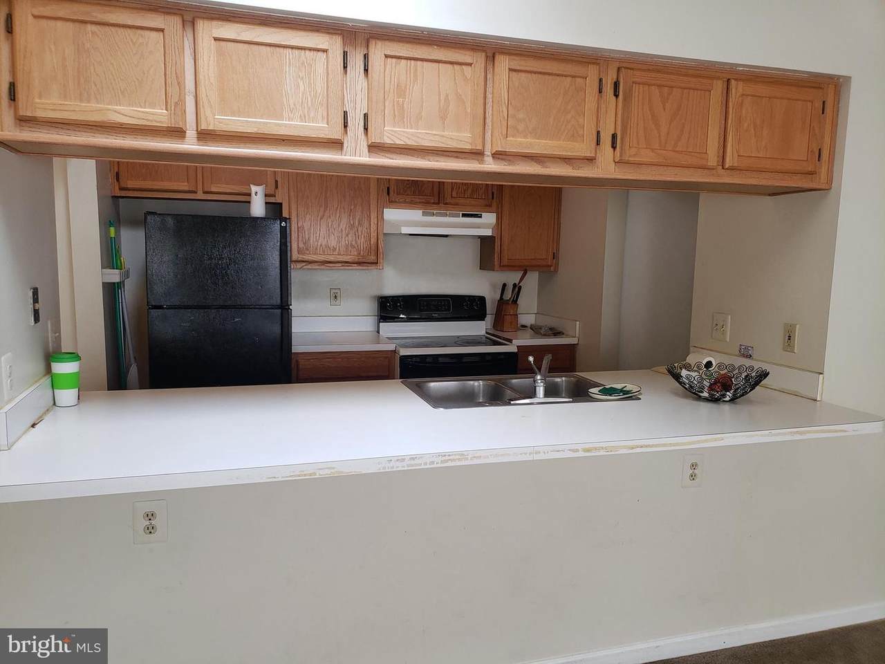 14203 Wolf Creek Place - Photo 1
