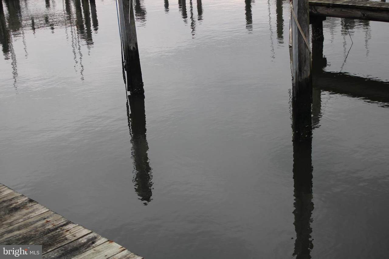 Boat Slip Whites Creek Marina #98 - Photo 1