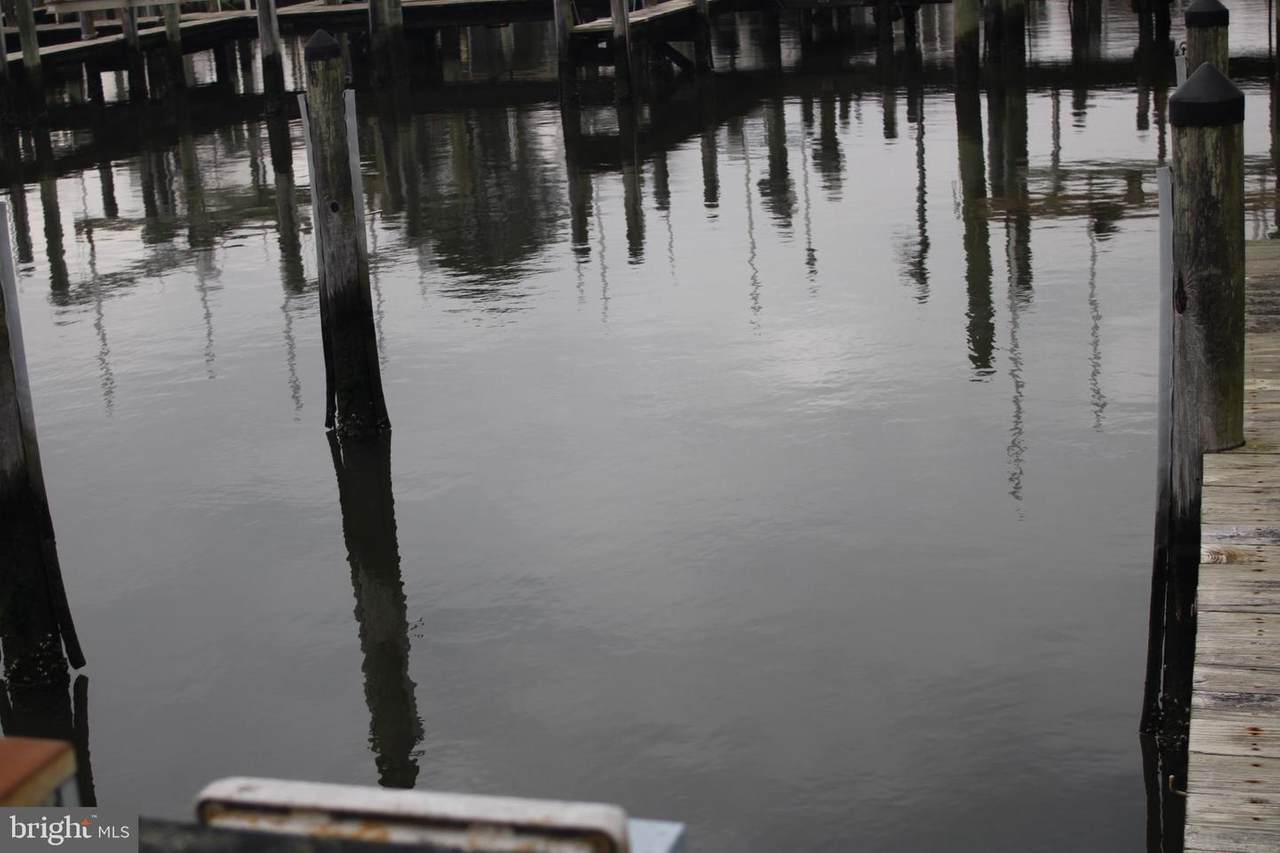 Boat Slip Whites Creek Marina #101 - Photo 1