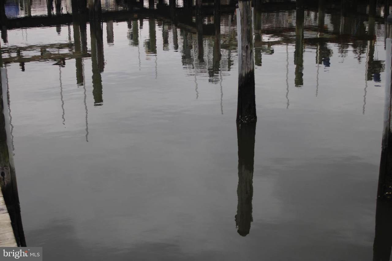 Boat Slip Whites Creek Marina #102 - Photo 1