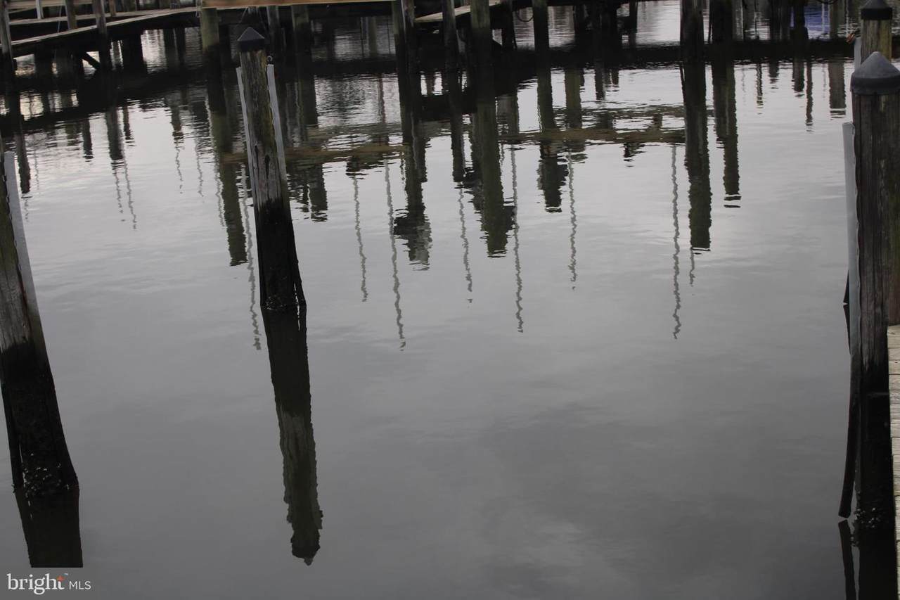Boat Slip Whites Creek Marina #103 - Photo 1
