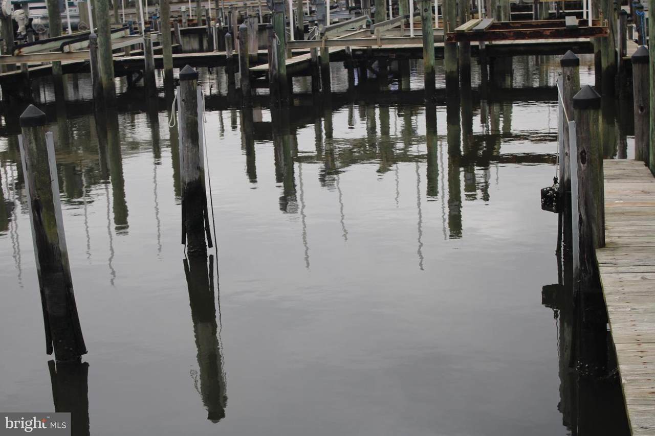 Boat Slip Whites Creek Marina #105 - Photo 1