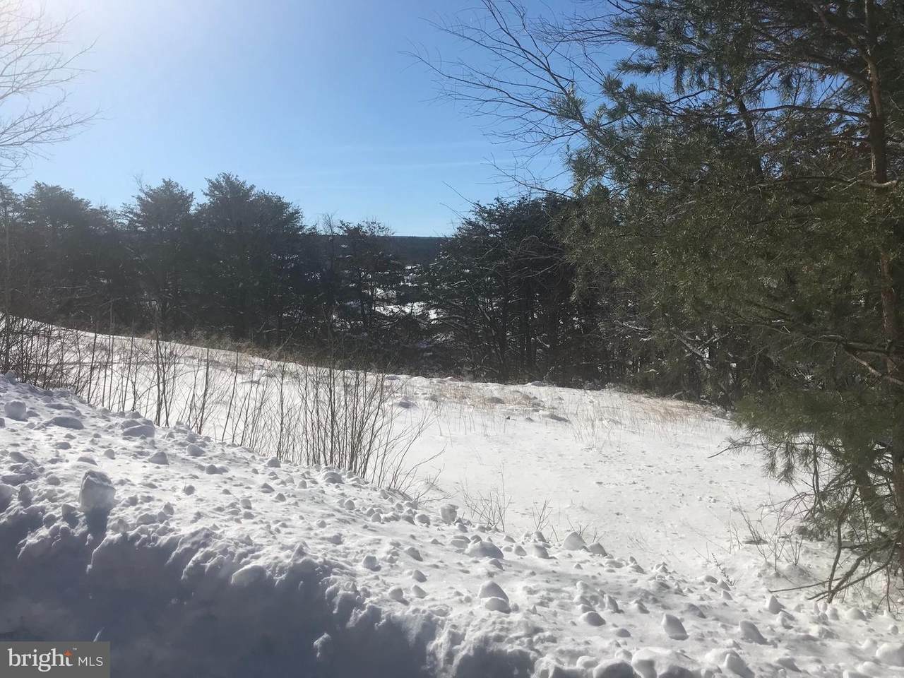 1822 Crazy Horse Drive - Photo 1