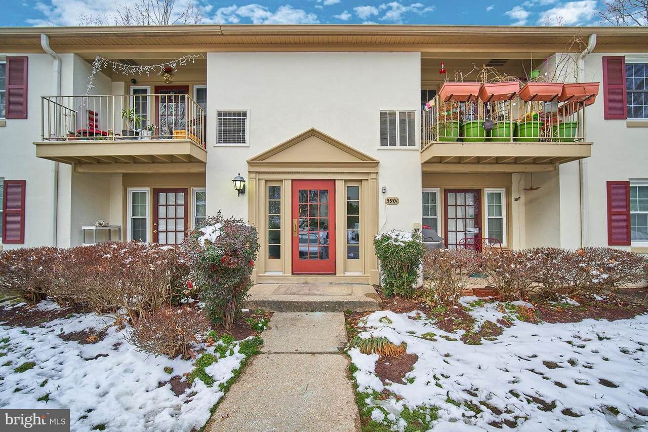 5901-L Kingsford Road - Photo 1